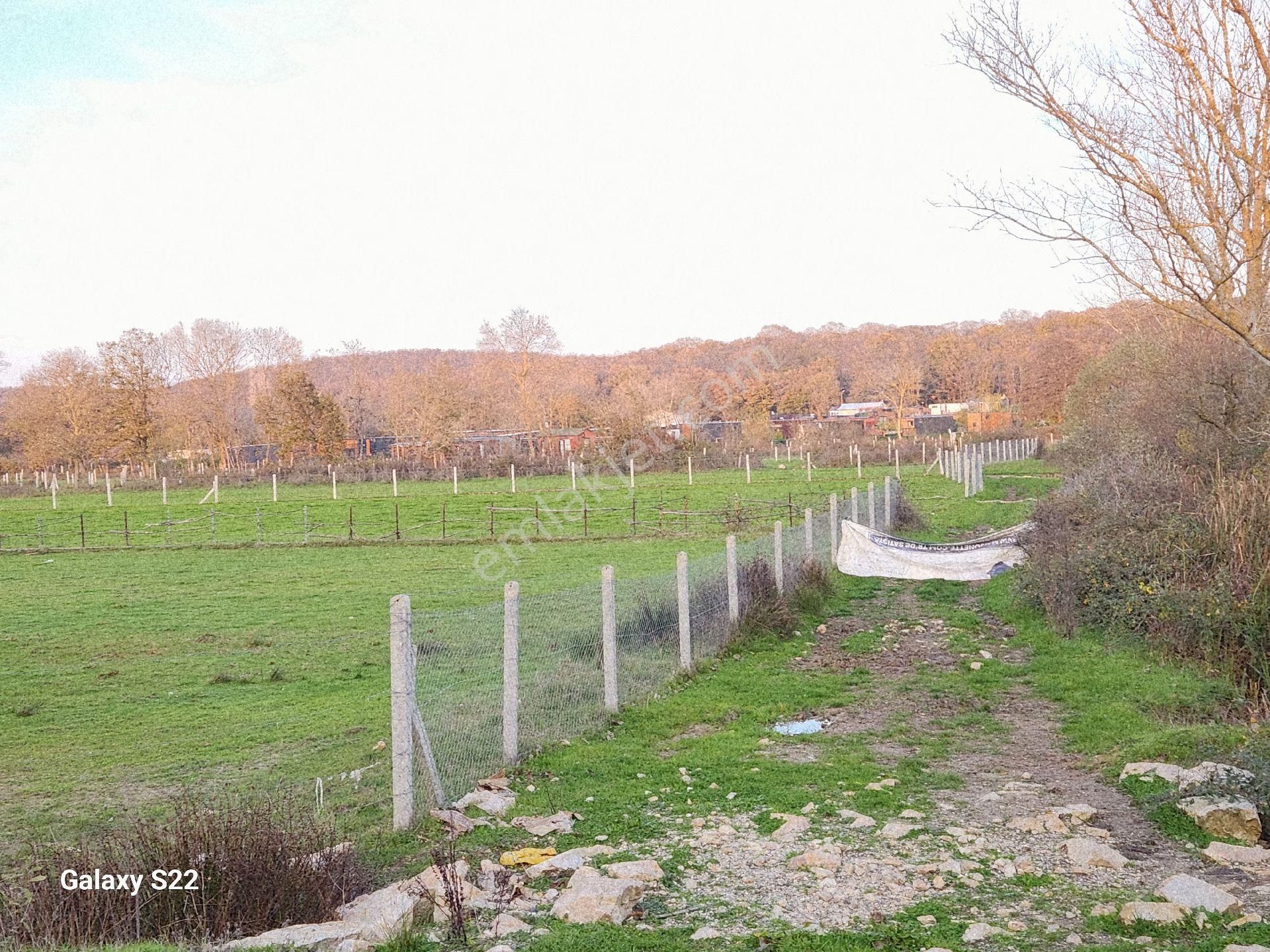 Ormanlı'da Köy Sınırına 500mt Mesafe'de Satılık 6548m2 Tarla - Görsel 4