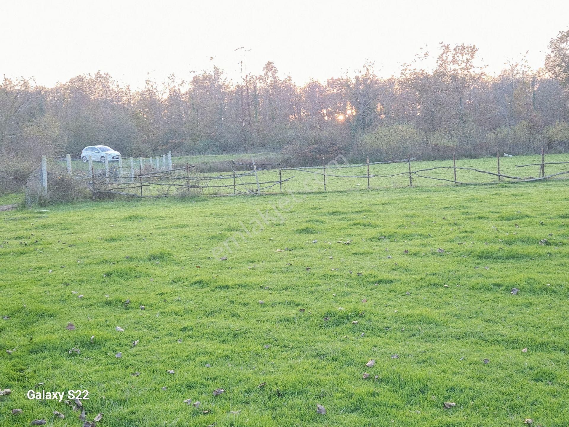 Ormanlı'da Köy Sınırına 500mt Mesafe'de Satılık 6548m2 Tarla - Görsel 3