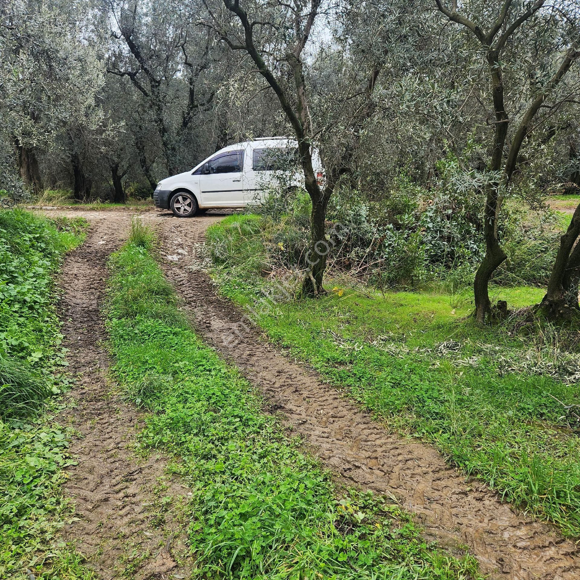 Yatırım Gayrimen Den Edincik Badonoz Mevkiin De Kadastro Yoluna Cephe Duz Zemin 3800 M2 Satılık