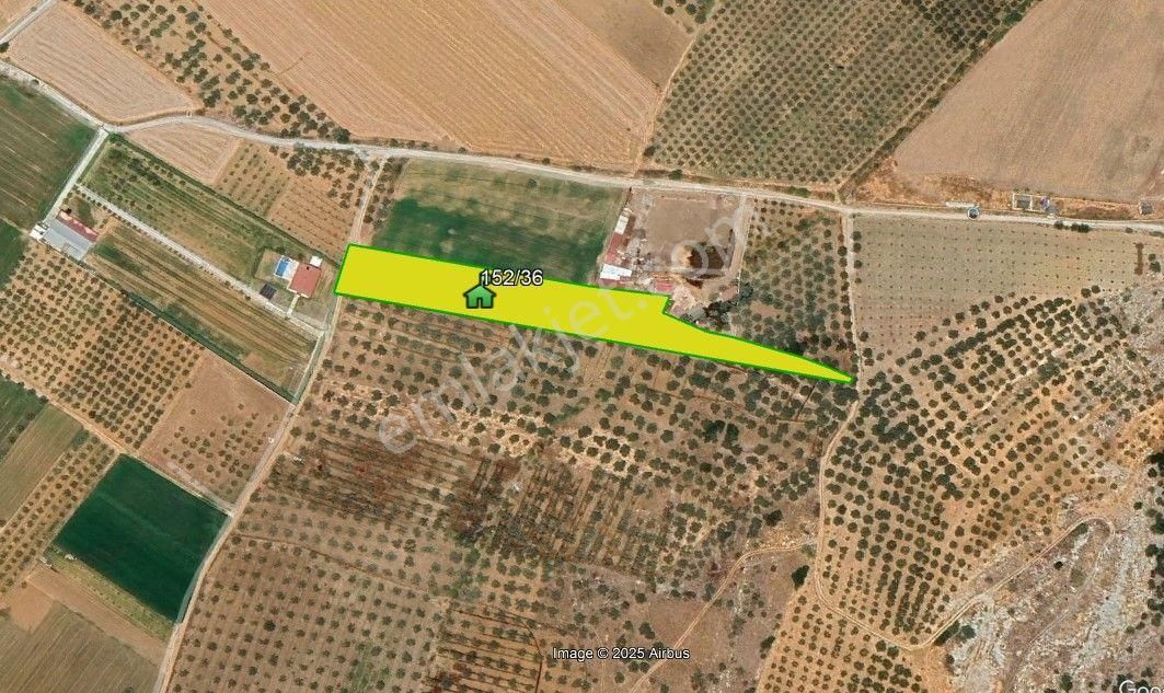 Mılas Ağaçlıhüyük'te Satılık Çıftlık Arazısı - Görsel 15