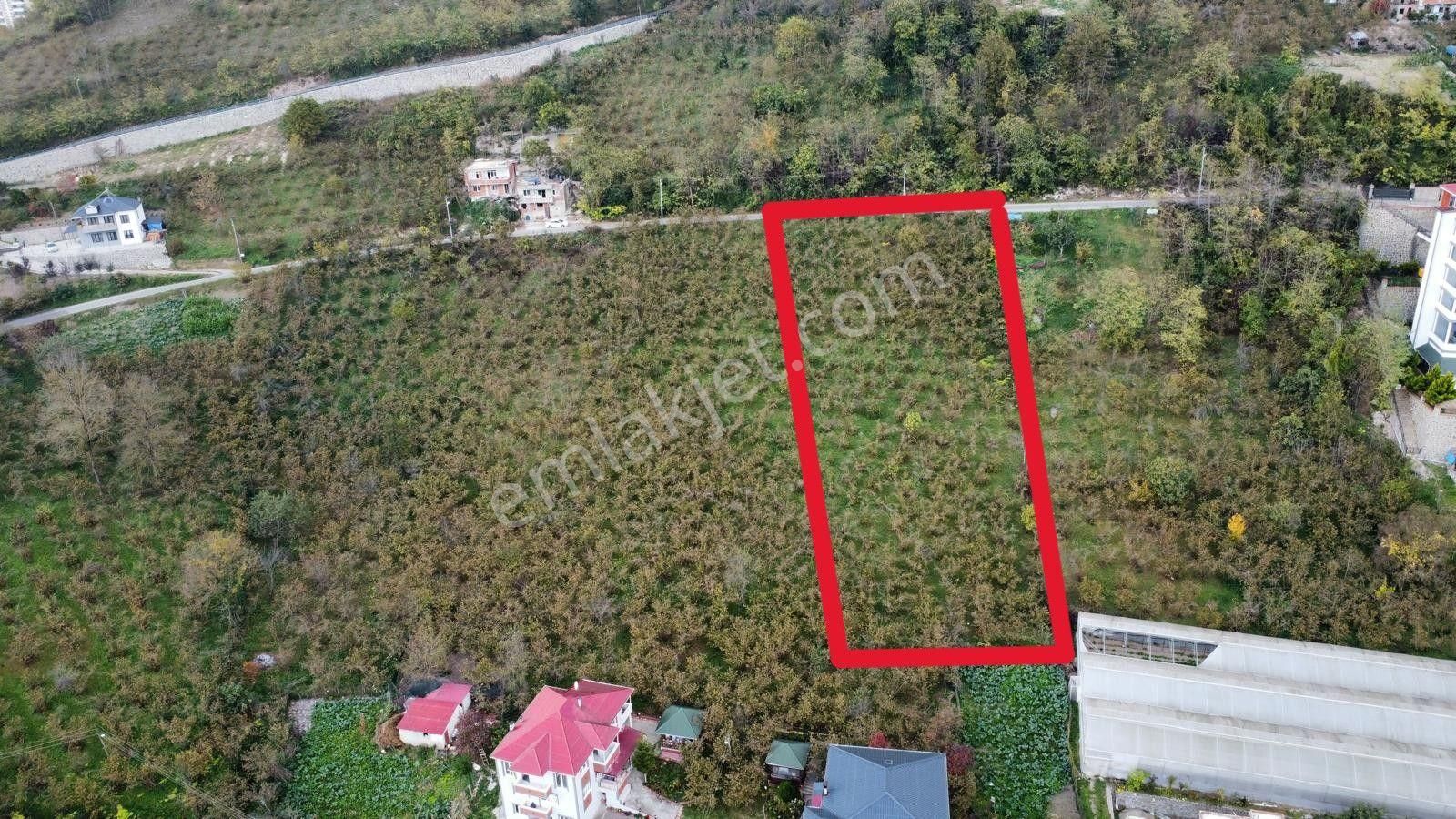Trabzon'da Satılık Arazi - Görsel 6