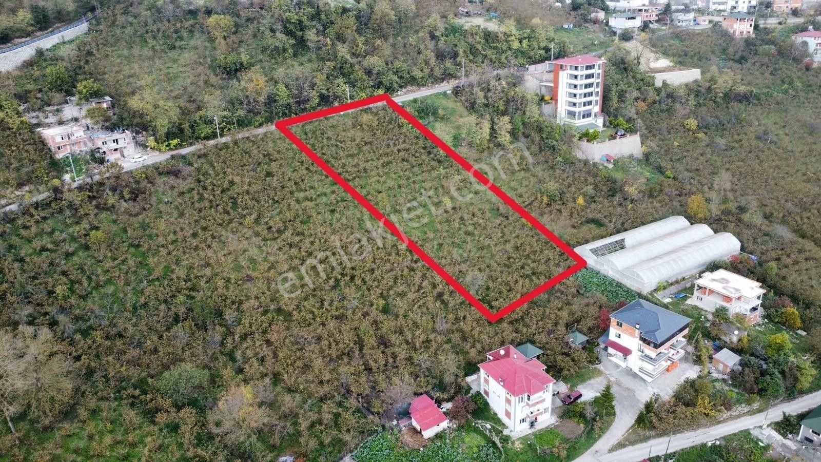 Trabzon'da Satılık Arazi - Görsel 4