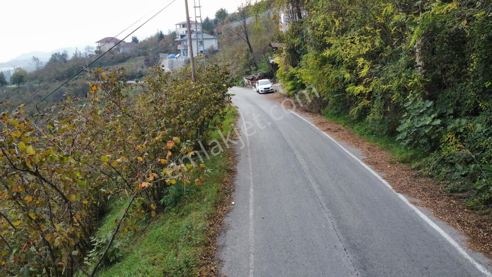 Trabzon'da Satılık Arazi - Görsel 2
