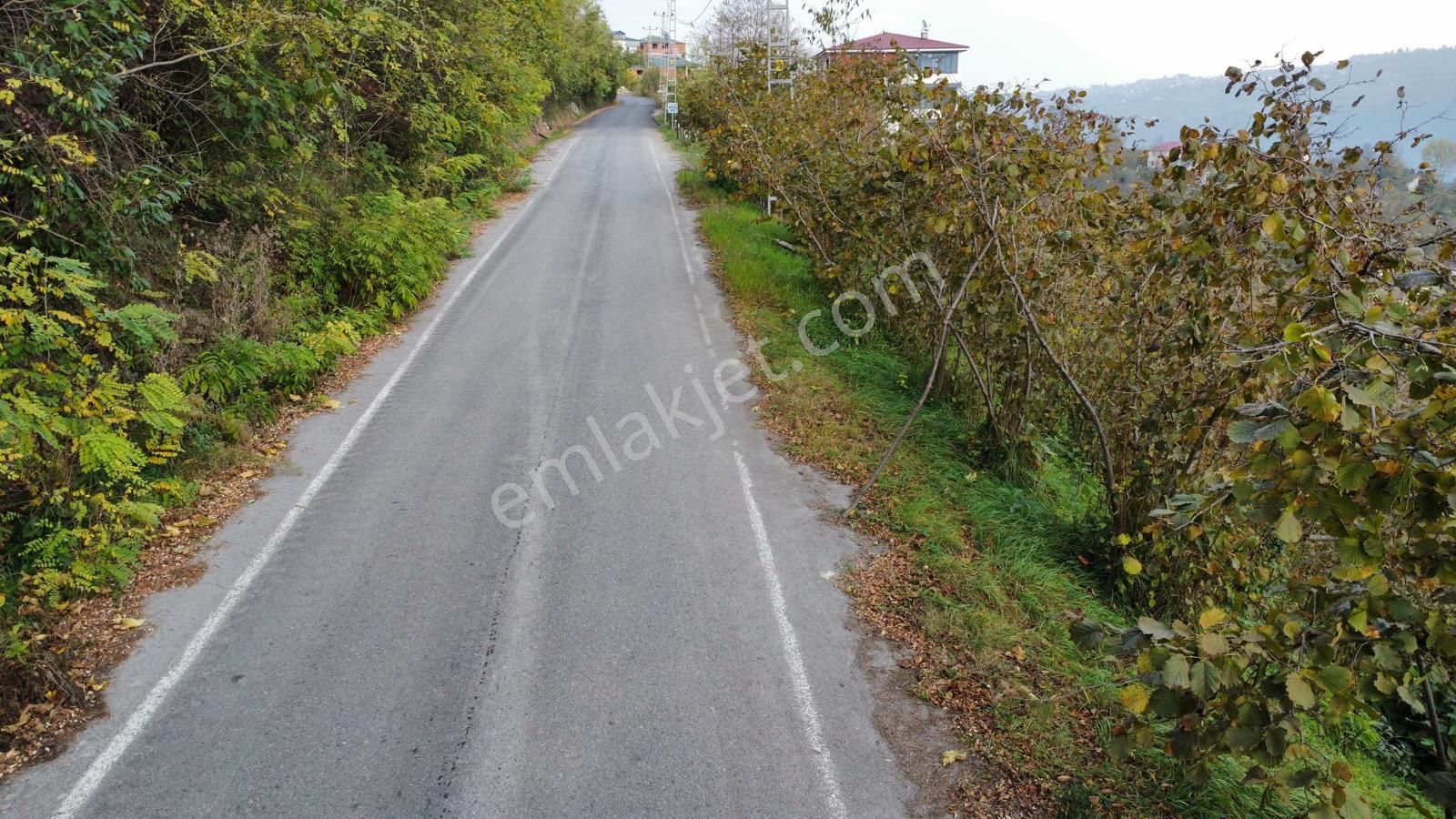 Trabzon'da Satılık Arazi - Görsel 28