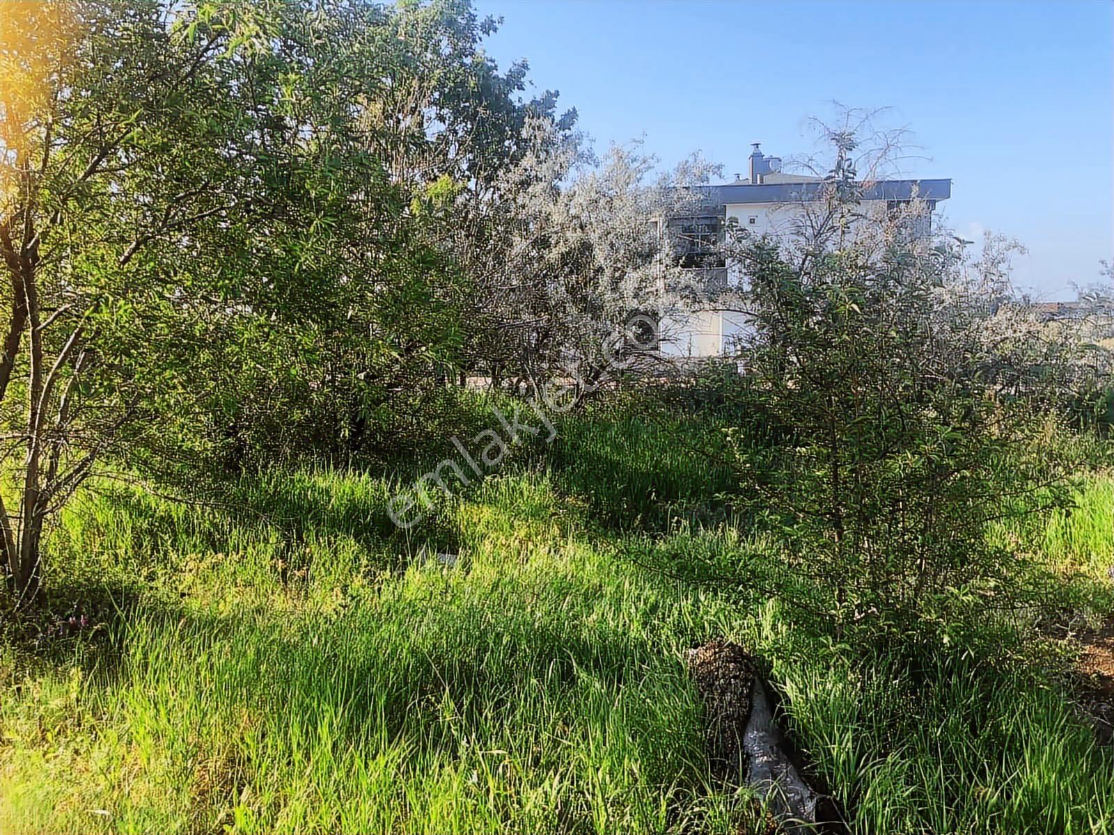 Becen Bağlarında Erciyes Manzaralı Prestijli Villa Arsası - Görsel 4