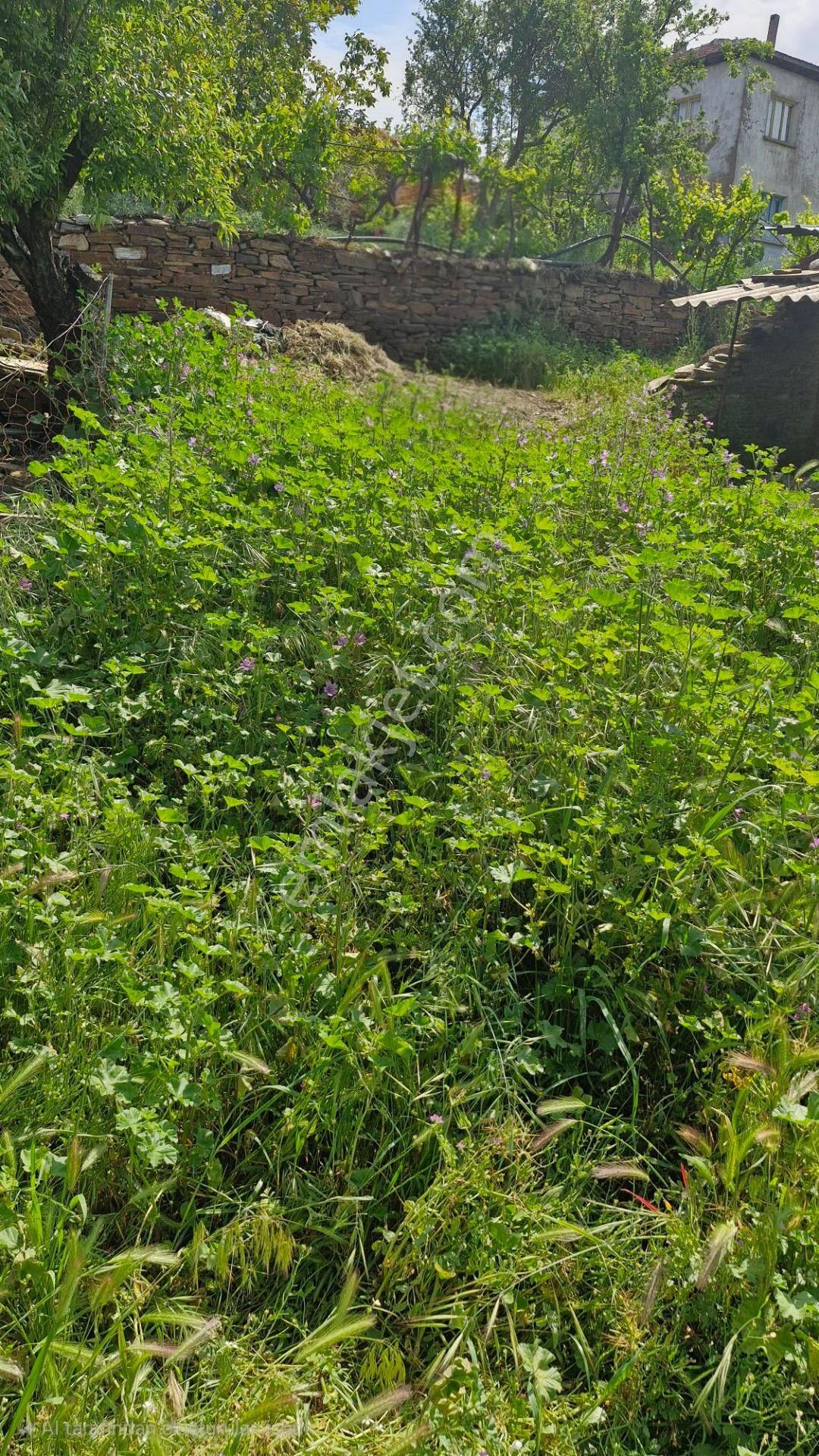 Torbalı Ormanköy' De Tek Tapu İmarlı Arsa_fiyatı Düşürdük!! - Görsel 4