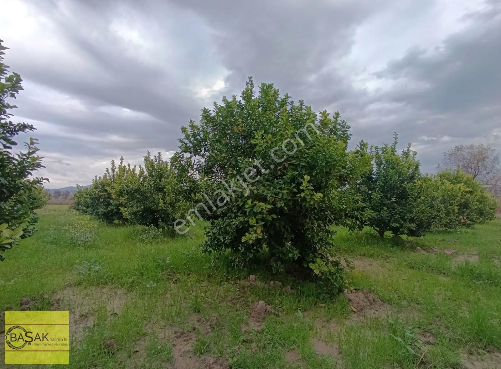 Başak'tan 9.000 M2 Bahçe İçerisinde Sarıgerme Ortaca Dalaman Ar - Görsel 6