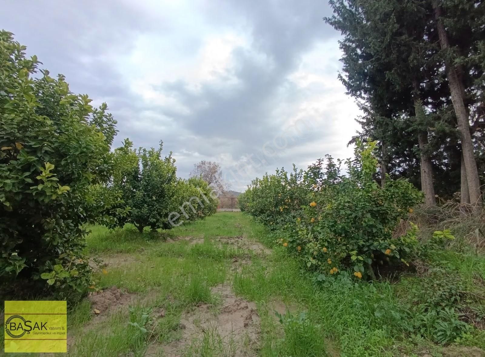 Başak'tan 9.000 M2 Bahçe İçerisinde Sarıgerme Ortaca Dalaman Ar - Görsel 29