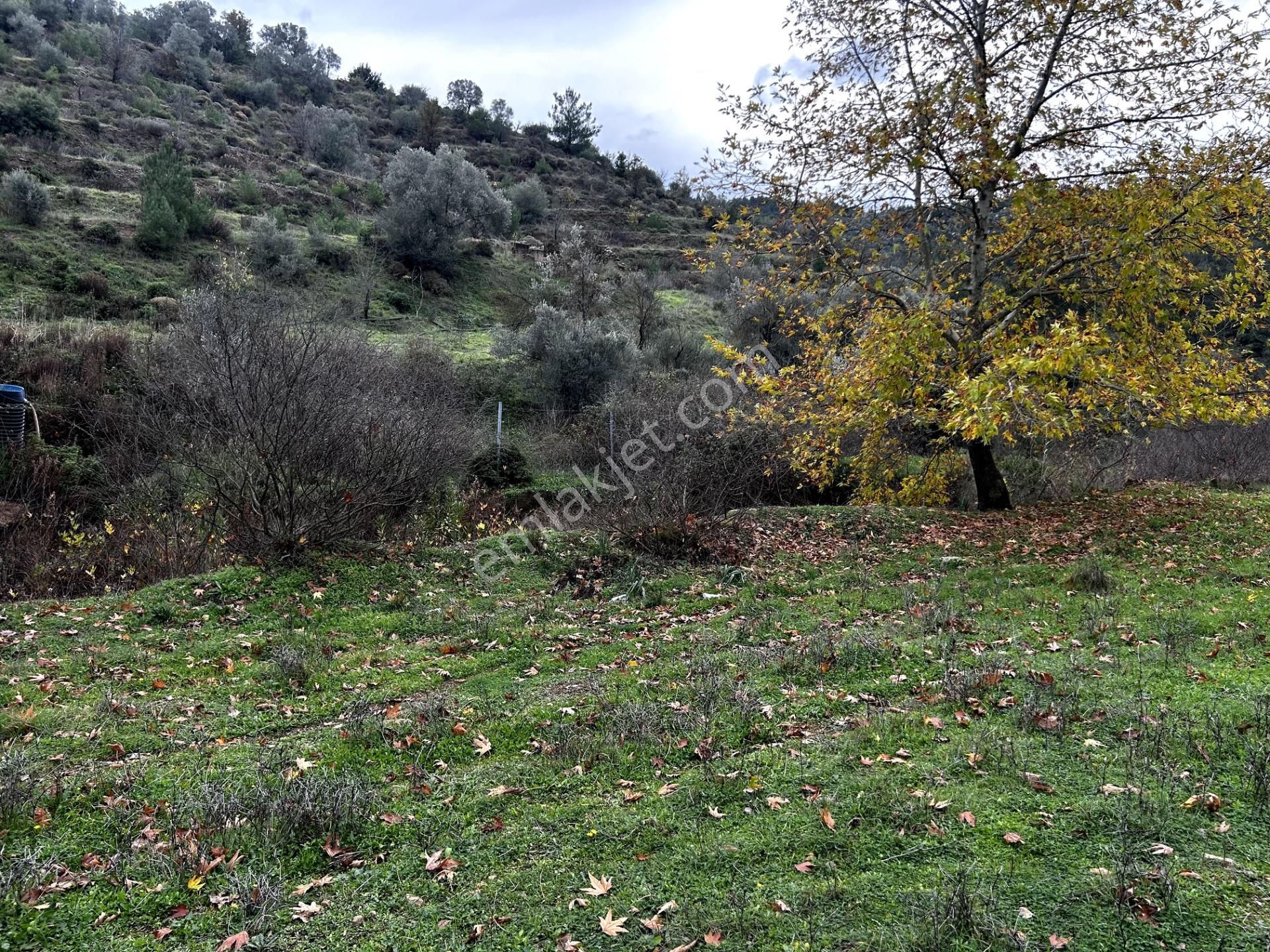 Seferihisar Orhanlı'da Villa Komşulu, Cadde Cepheli 8.227 M² Tarla! - Görsel 17