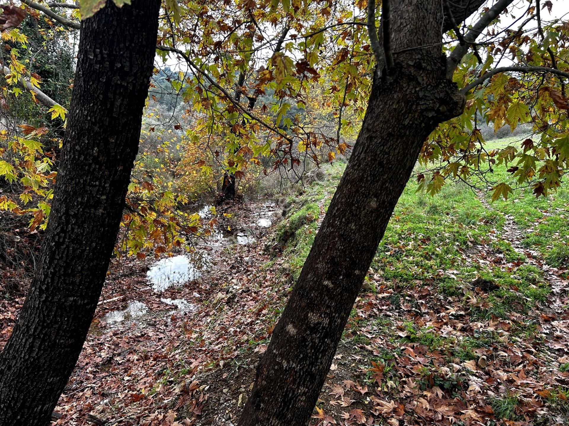 Seferihisar Orhanlı'da Villa Komşulu, Cadde Cepheli 8.227 M² Tarla! - Görsel 11