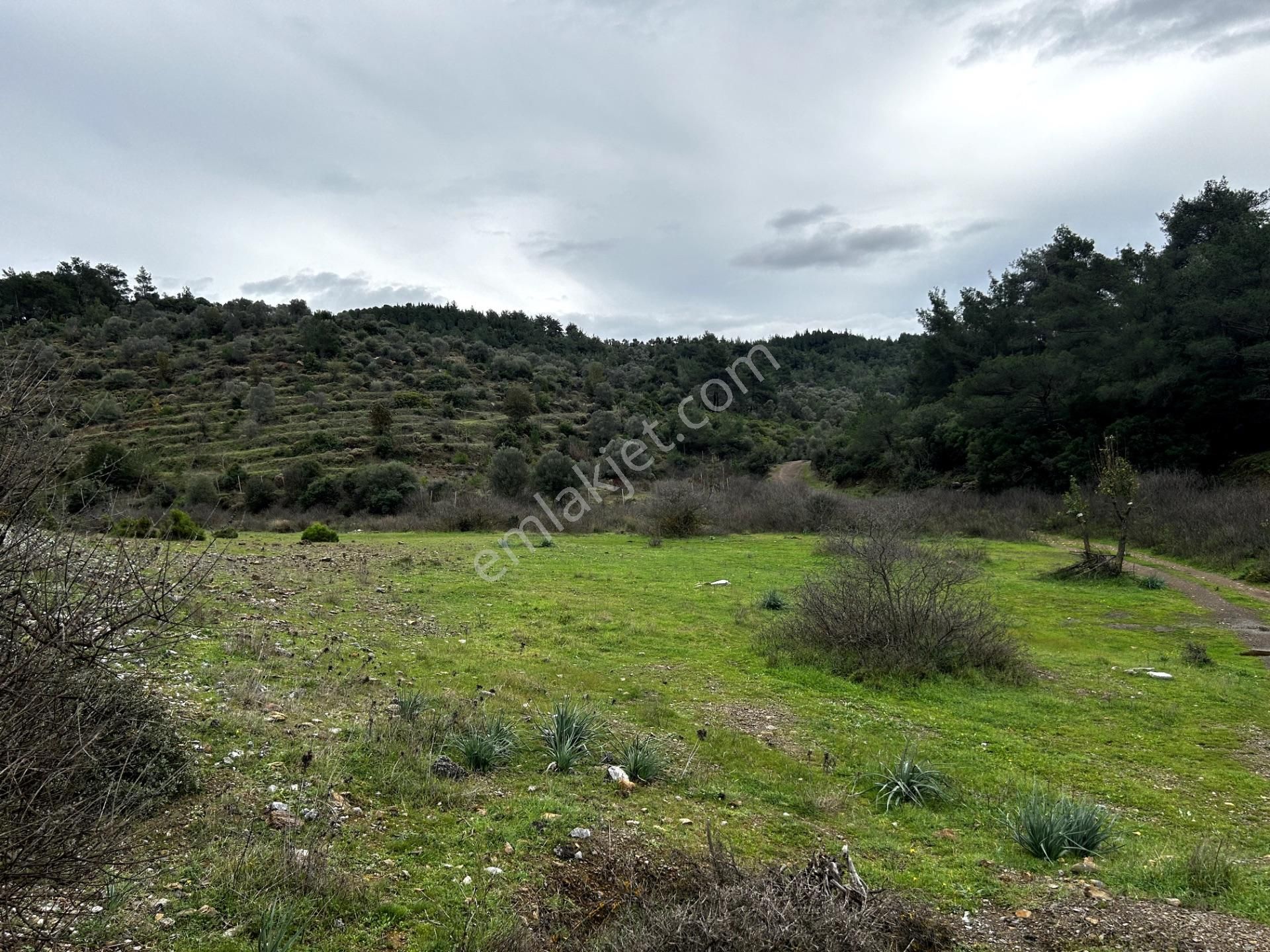 Seferihisar Orhanlı'da Villa Komşulu, Cadde Cepheli 8.227 M² Tarla! - Görsel 4