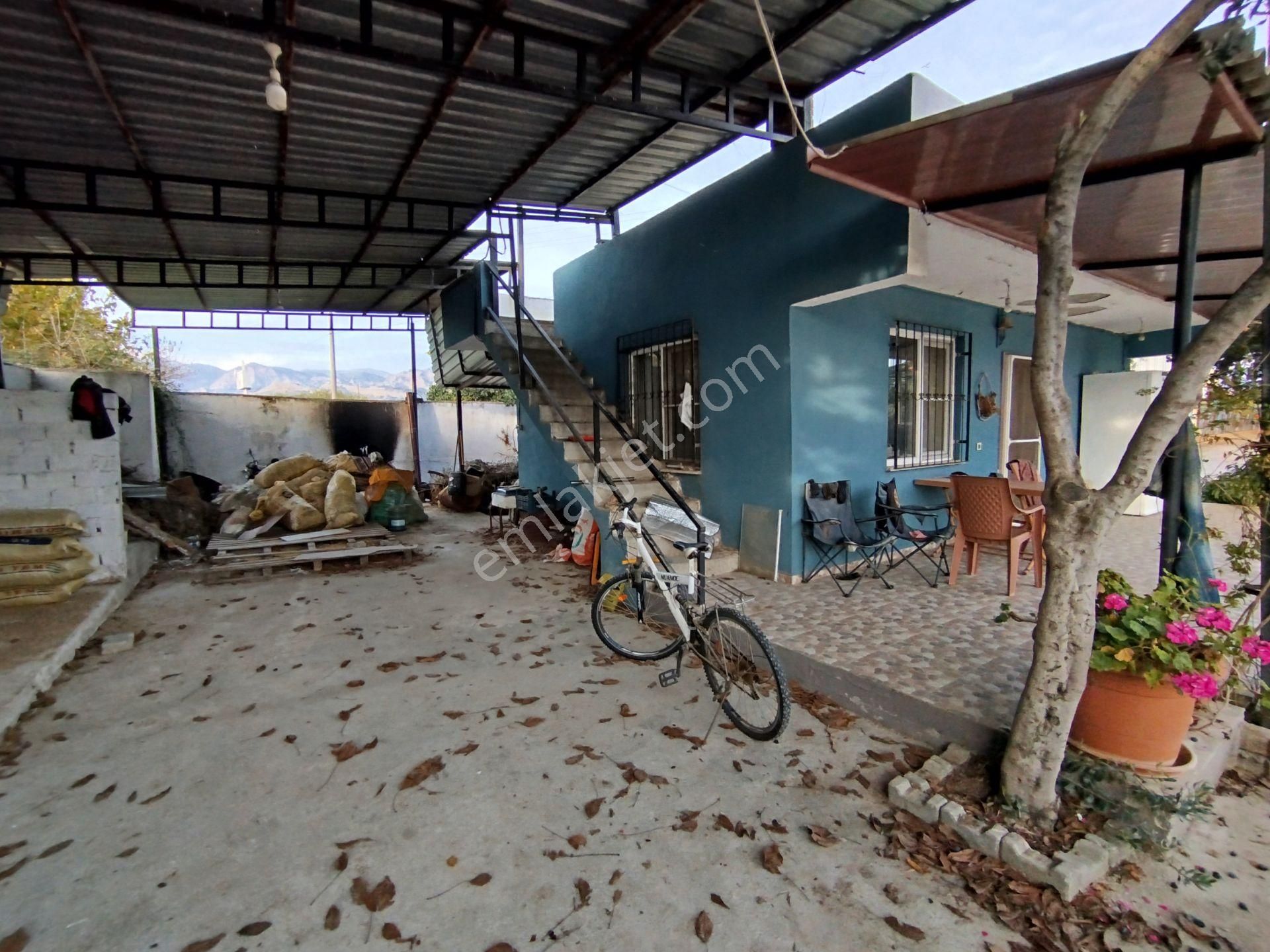 Sultanhisar Atça'da Hazır Kurulu Resmi Ruhsatlı Hayvan Çiftliği - Görsel 24