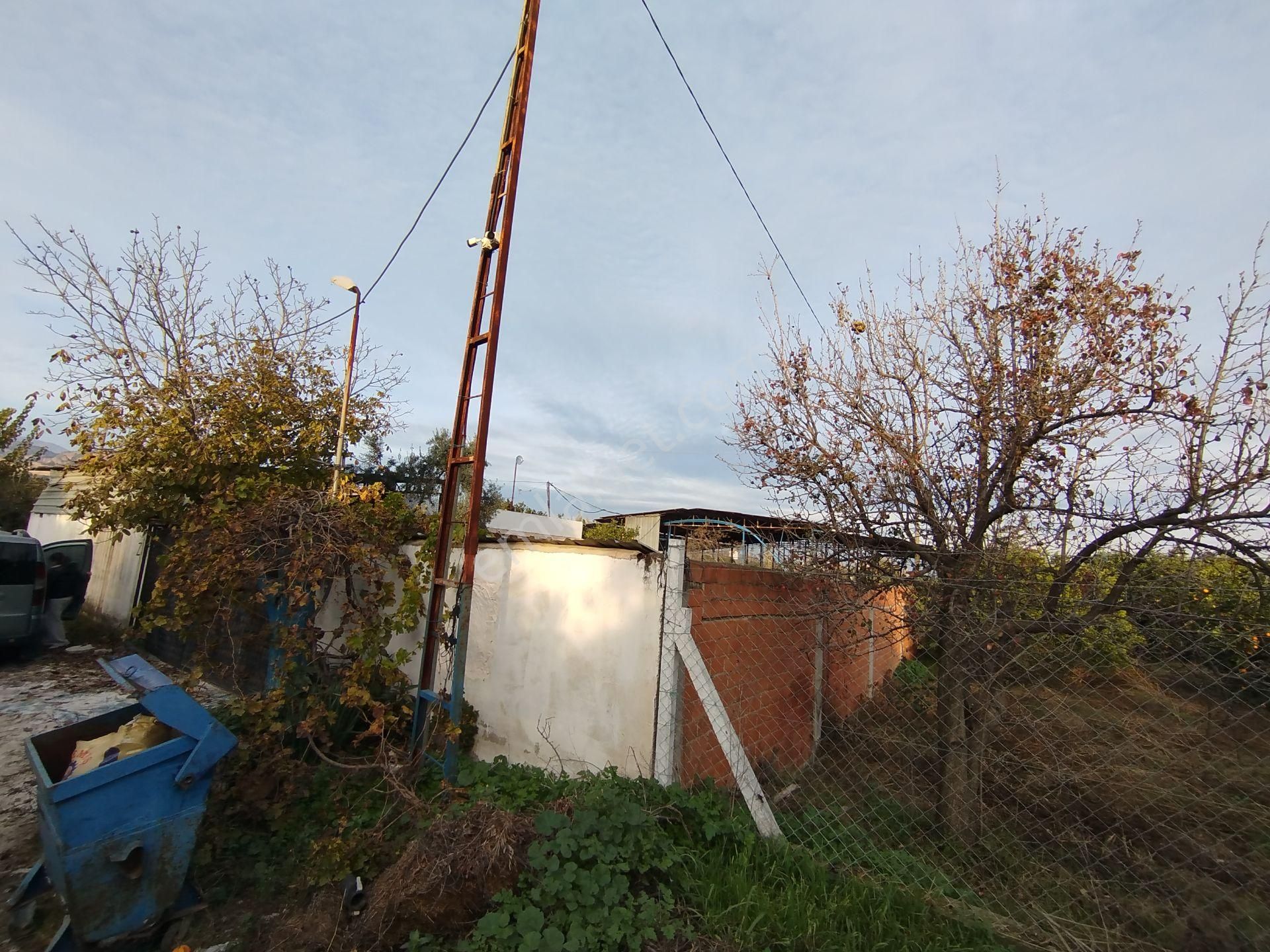 Sultanhisar Atça'da Hazır Kurulu Resmi Ruhsatlı Hayvan Çiftliği - Görsel 35