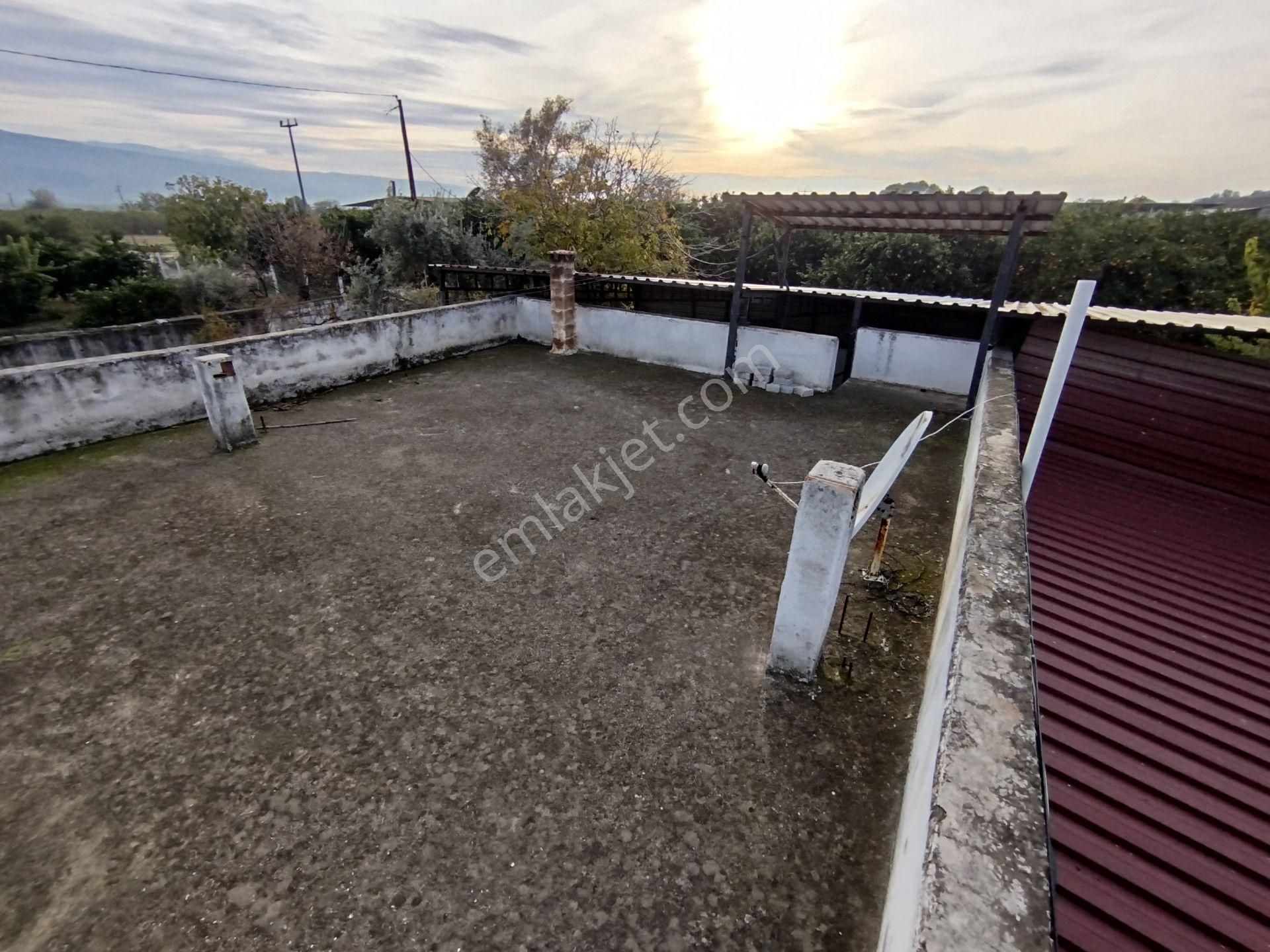 Sultanhisar Atça'da Hazır Kurulu Resmi Ruhsatlı Hayvan Çiftliği - Görsel 34