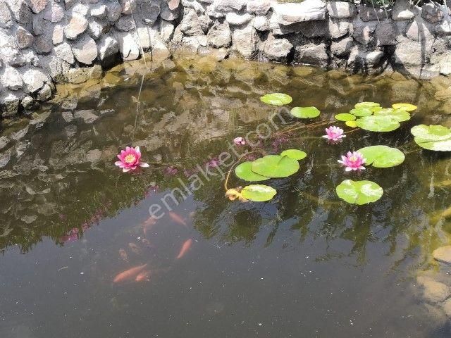 Bergamada 4125 M2 İçinde Doğa Manzaralı Ruhsatlı Satılık Çiftlik - Görsel 2