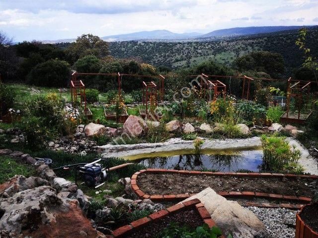 Bergamada 4125 M2 İçinde Doğa Manzaralı Ruhsatlı Satılık Çiftlik - Görsel 5