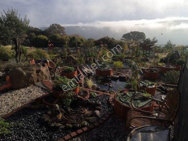 Bergamada 4125 M2 İçinde Doğa Manzaralı Ruhsatlı Satılık Çiftlik - Görsel 3