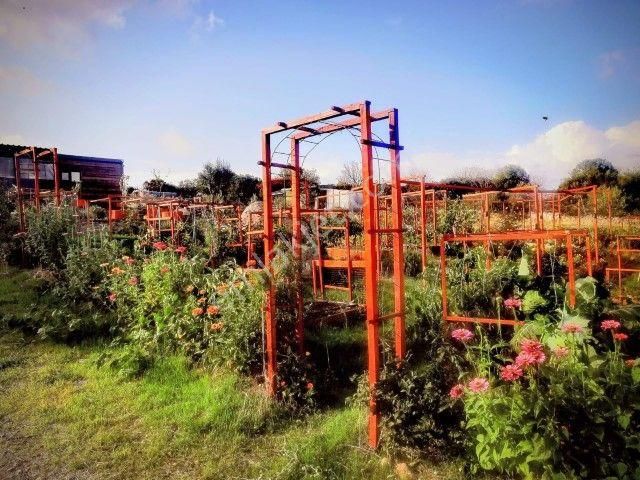 Bergamada 4125 M2 İçinde Doğa Manzaralı Ruhsatlı Satılık Çiftlik - Görsel 13