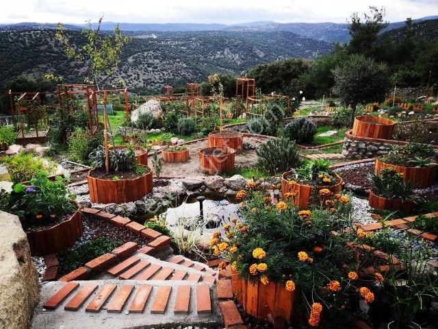 Bergamada 4125 M2 İçinde Doğa Manzaralı Ruhsatlı Satılık Çiftlik - Görsel 16