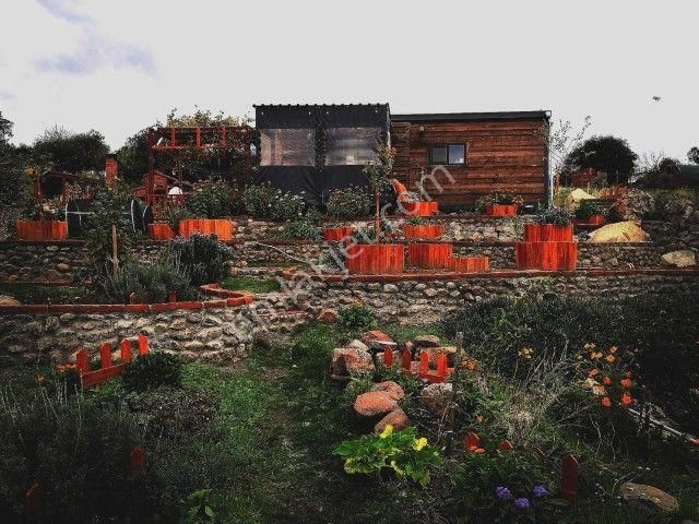 Bergamada 4125 M2 İçinde Doğa Manzaralı Ruhsatlı Satılık Çiftlik