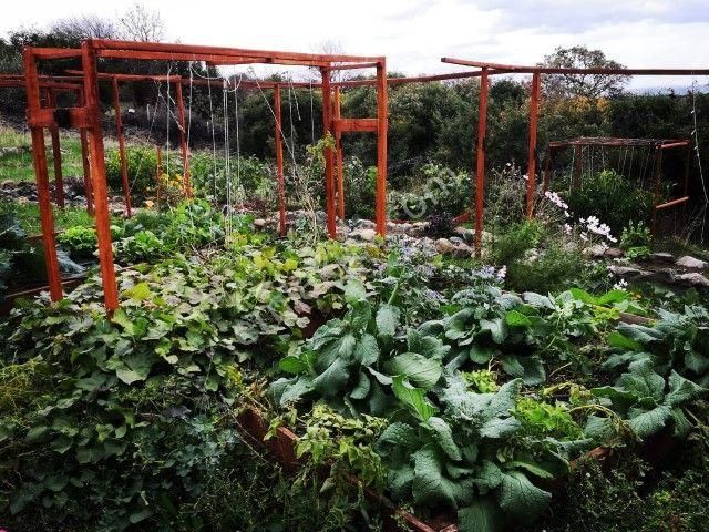 Bergamada 4125 M2 İçinde Doğa Manzaralı Ruhsatlı Satılık Çiftlik - Görsel 11