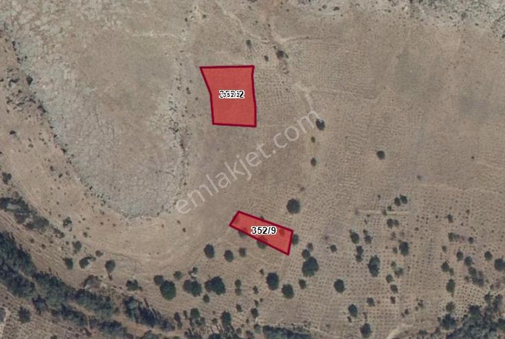 Doğanlarla / Yeni Mahalle De 352 2