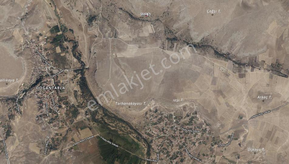 Doğanlarla / Yeni Mahalle De 352 2 - Görsel 8