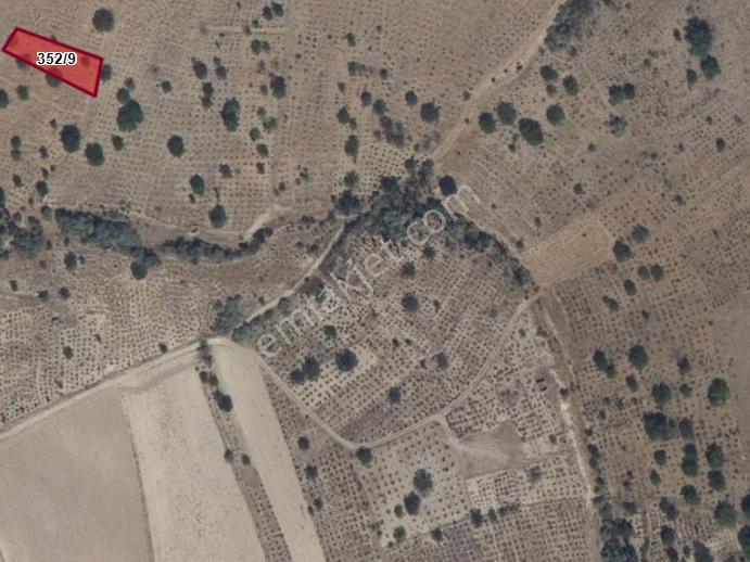 Doğanlarla / Yeni Mahalle De 352 2 - Görsel 7