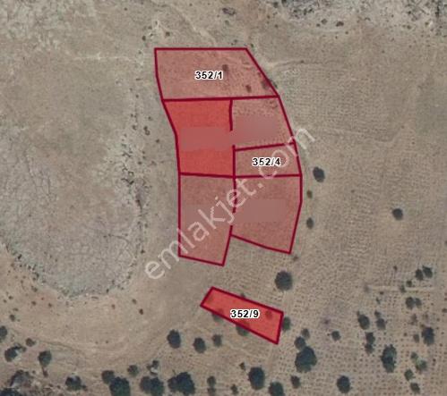 Doğanlarla / Yeni Mahalle De 352 2 - Görsel 5