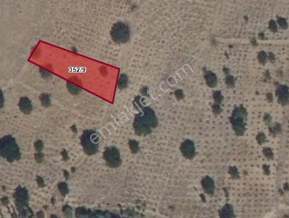 Doğanlarla / Yeni Mahalle De 352 2 - Görsel 2