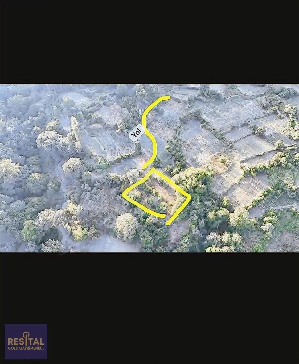 Muğla Menteşe Çatakbağyaka 455 M² Doğa İçinde Satılık Tarla