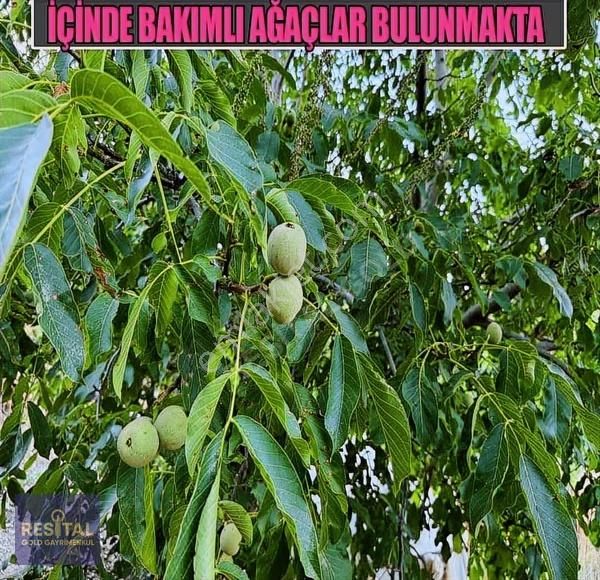 Muğla Menteşe Çatakbağyaka 455 M² Doğa İçinde Satılık Tarla - Görsel 5