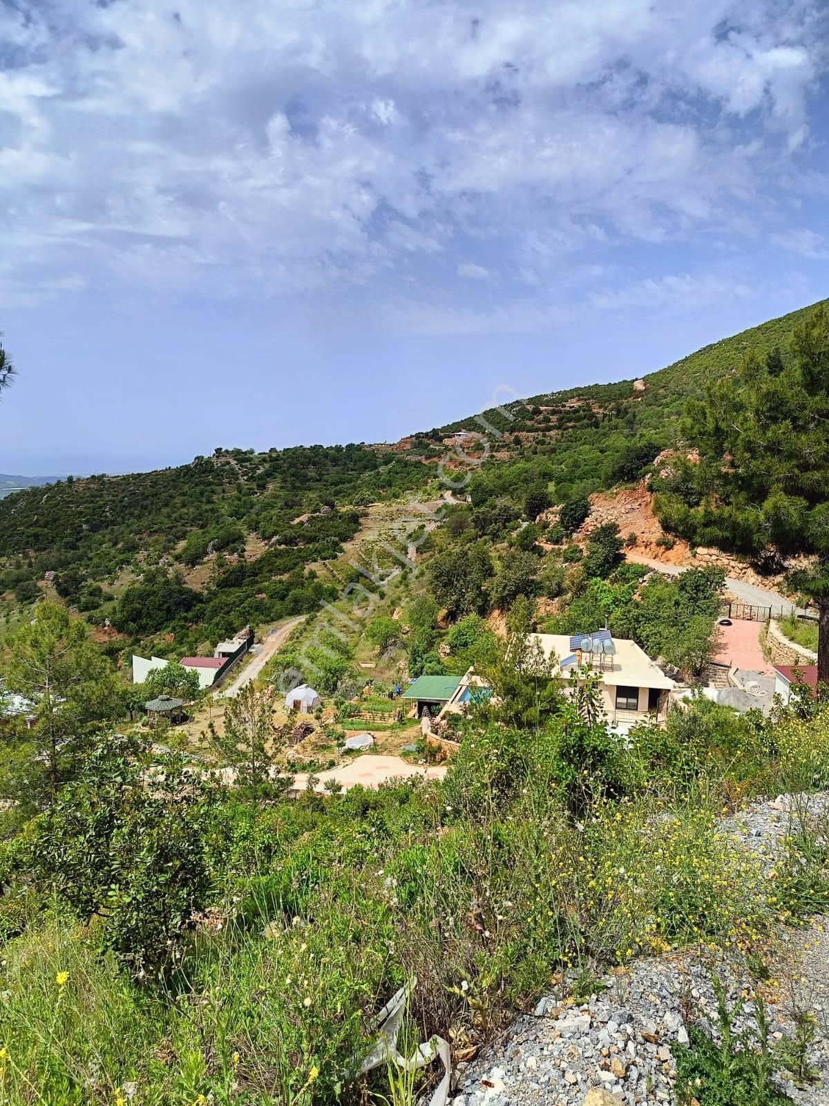 Alanya Yenice Mahallesinde Satılık 1.070 M2 Tarla - Görsel 15