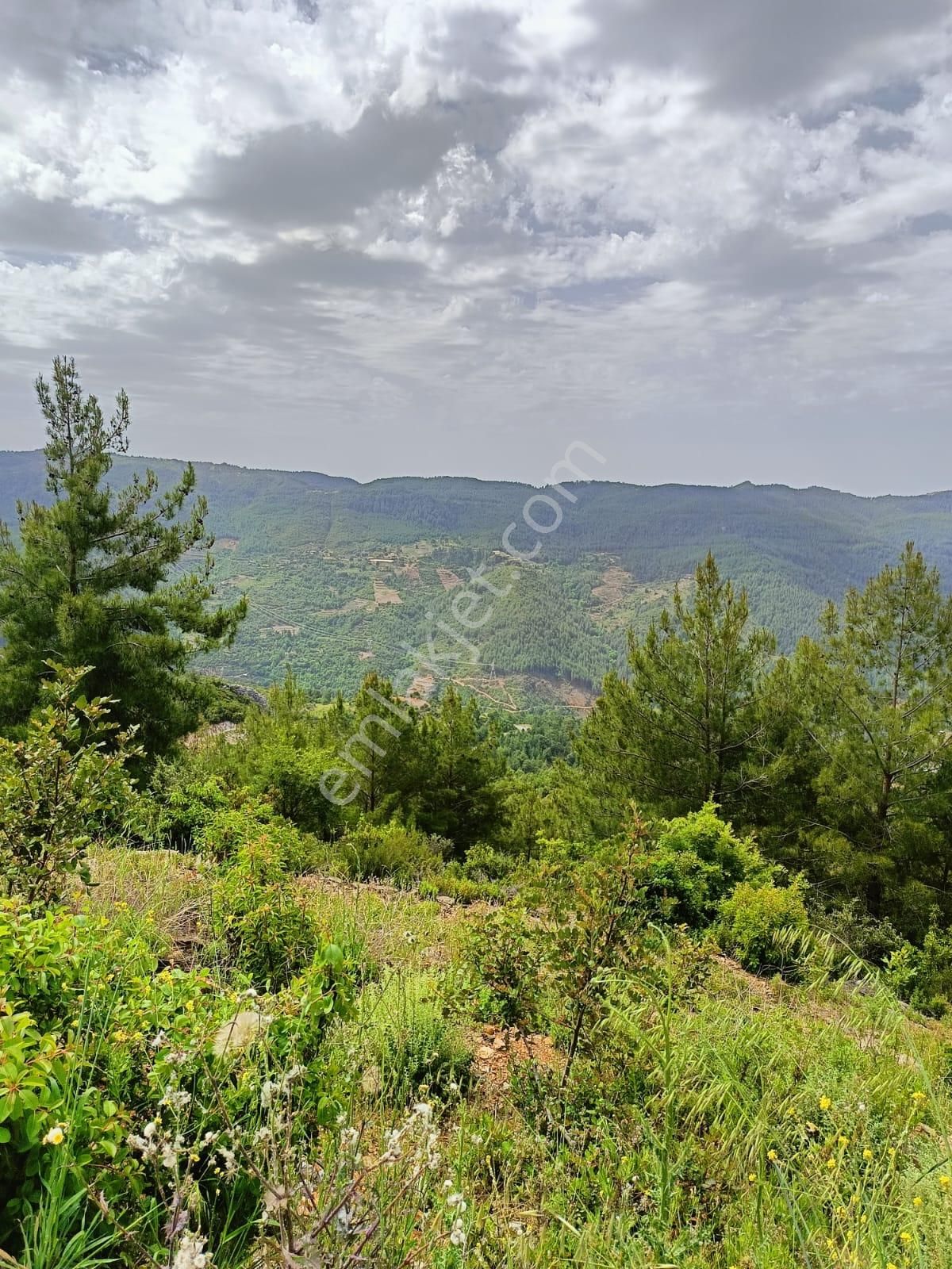 Alanya Yenice Mahallesinde Satılık 1.070 M2 Tarla - Görsel 17