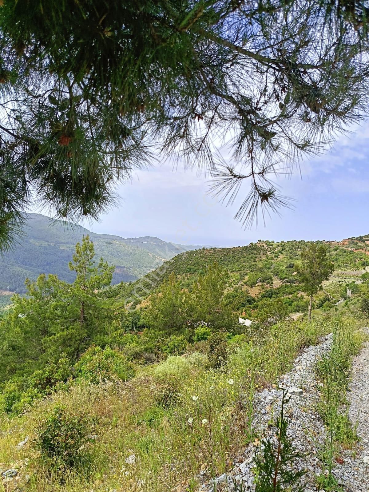 Alanya Yenice Mahallesinde Satılık 1.070 M2 Tarla - Görsel 2