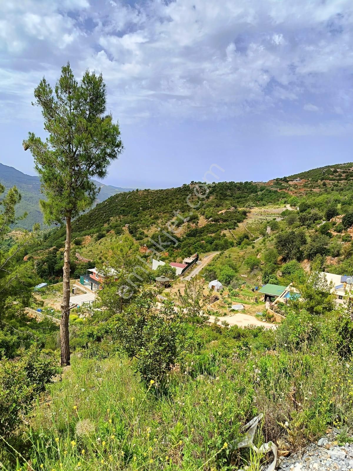 Alanya Yenice Mahallesinde Satılık 1.070 M2 Tarla - Görsel 18