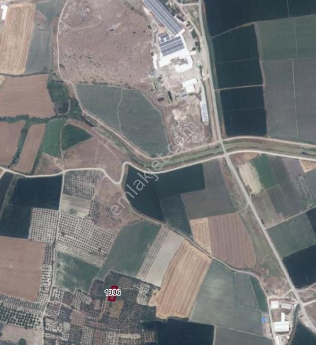 Karacabey Tophisar Köyü 620 M² Yatırımlık Veya Hobi Bahçesi - Görsel 4