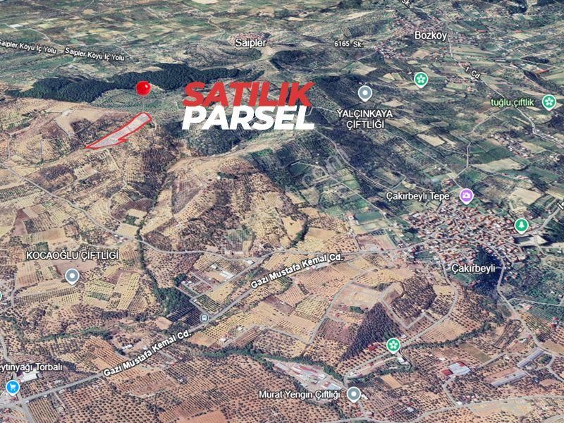 İzmır Torbalı Çakırbeylı'de Satılık Zeytınlık - Görsel 18