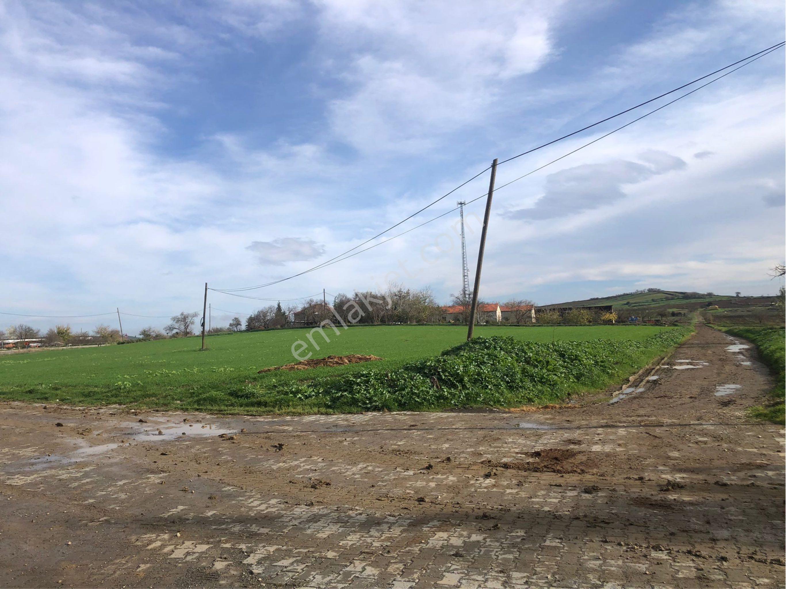 Tekirdağ Malkara Ahievren Mahallesi Satılık Köy Konut İmarlı Arsa - Görsel 6