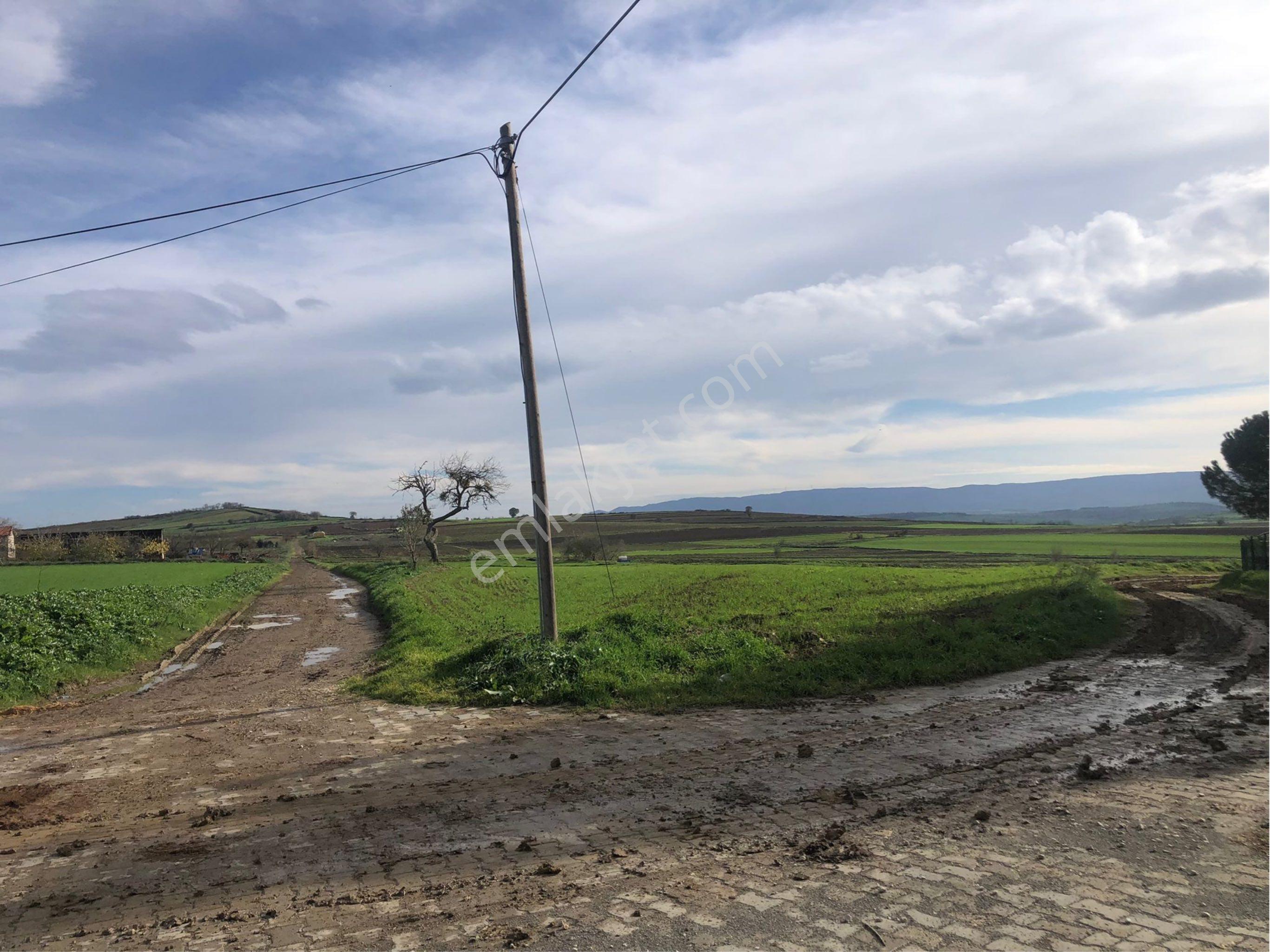 Tekirdağ Malkara Ahievren Mahallesi Satılık Köy Konut İmarlı Arsa - Görsel 4