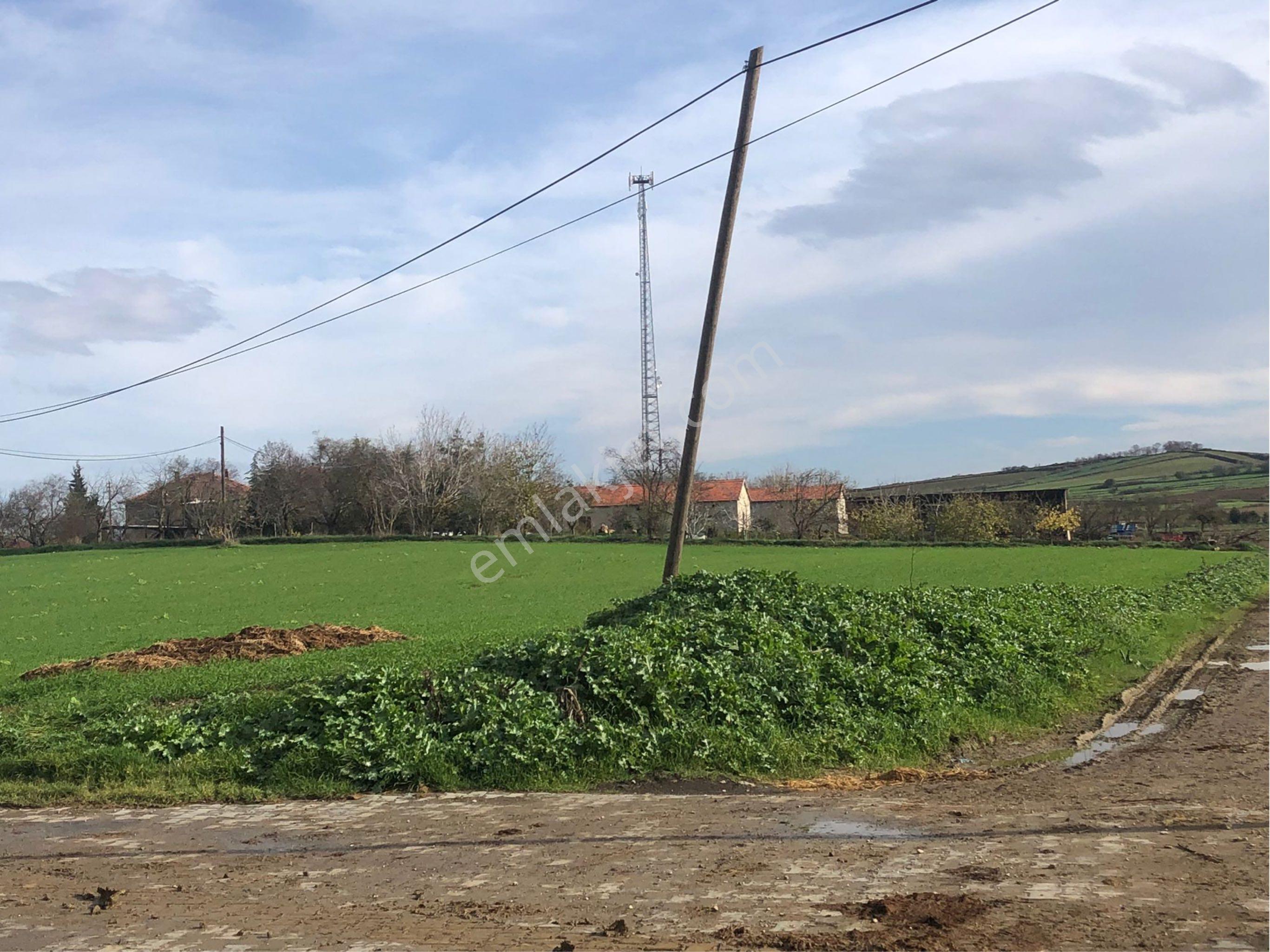 Tekirdağ Malkara Ahievren Mahallesi Satılık Köy Konut İmarlı Arsa - Görsel 2