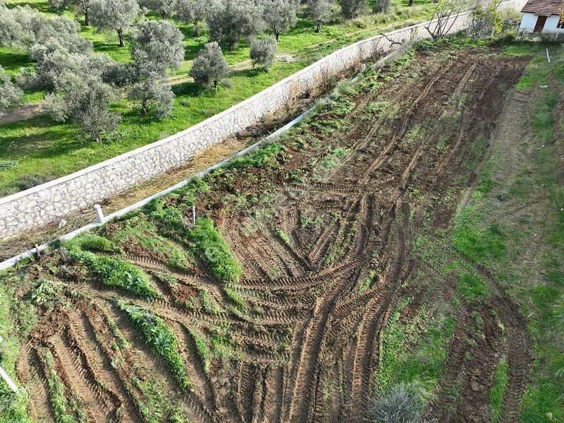 Körfezin İncisi Taylıeli Köyünde Satılık 1168m2 Bahçe Tapulu Arazi - Görsel 12