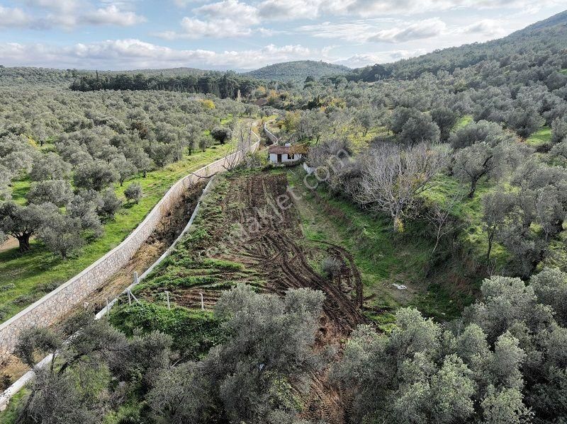 Körfezin İncisi Taylıeli Köyünde Satılık 1168m2 Bahçe Tapulu Arazi - Görsel 24