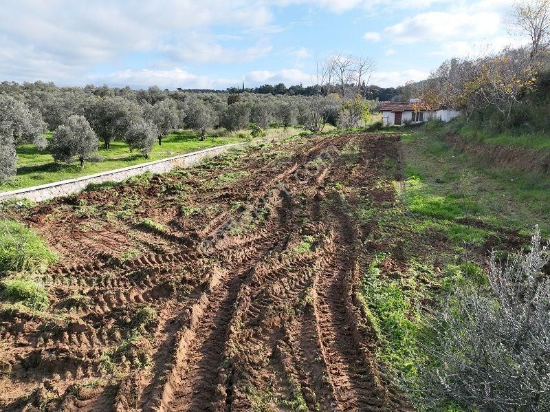 Körfezin İncisi Taylıeli Köyünde Satılık 1168m2 Bahçe Tapulu Arazi - Görsel 15