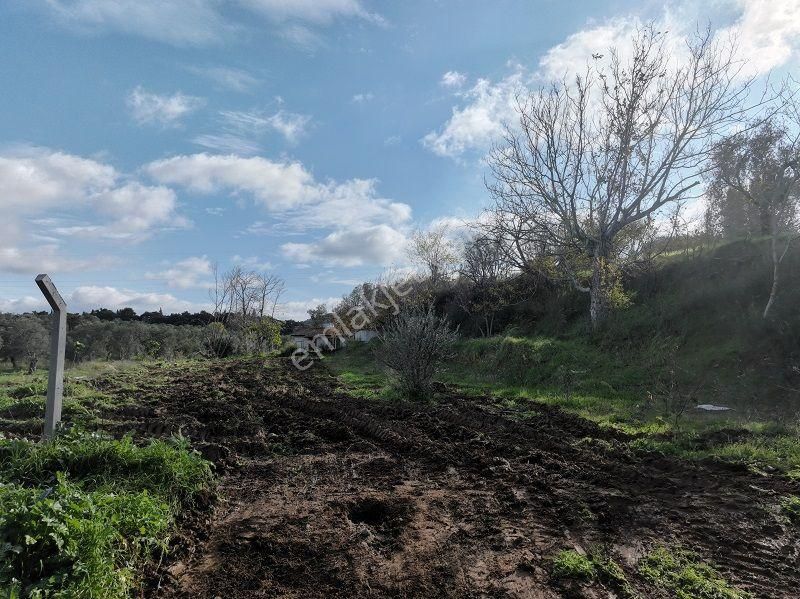 Körfezin İncisi Taylıeli Köyünde Satılık 1168m2 Bahçe Tapulu Arazi - Görsel 19