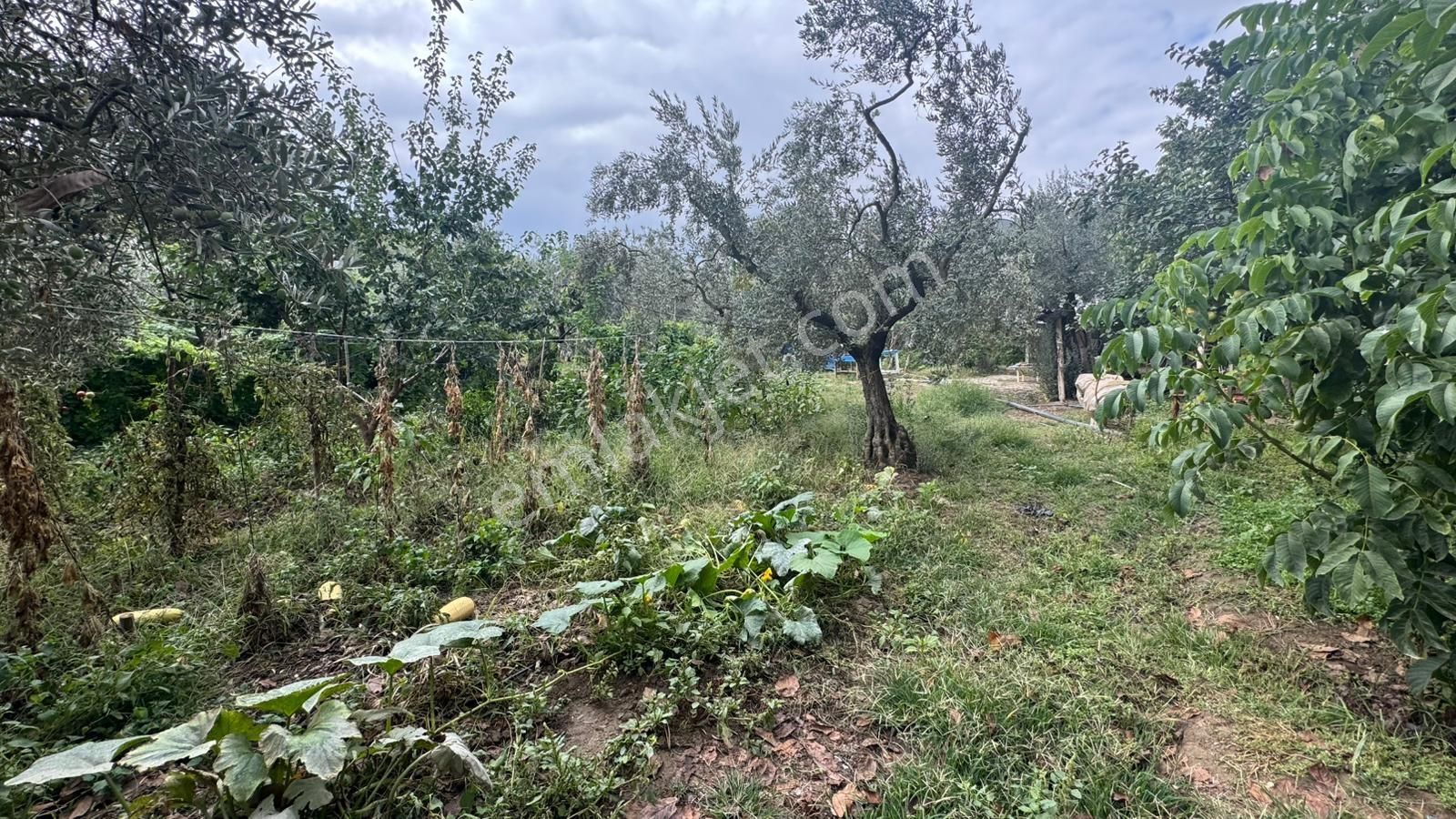 Nova Realty'den Çeltikçi Mahallesi Arpalık Mevkiinde Tarla - Görsel 3