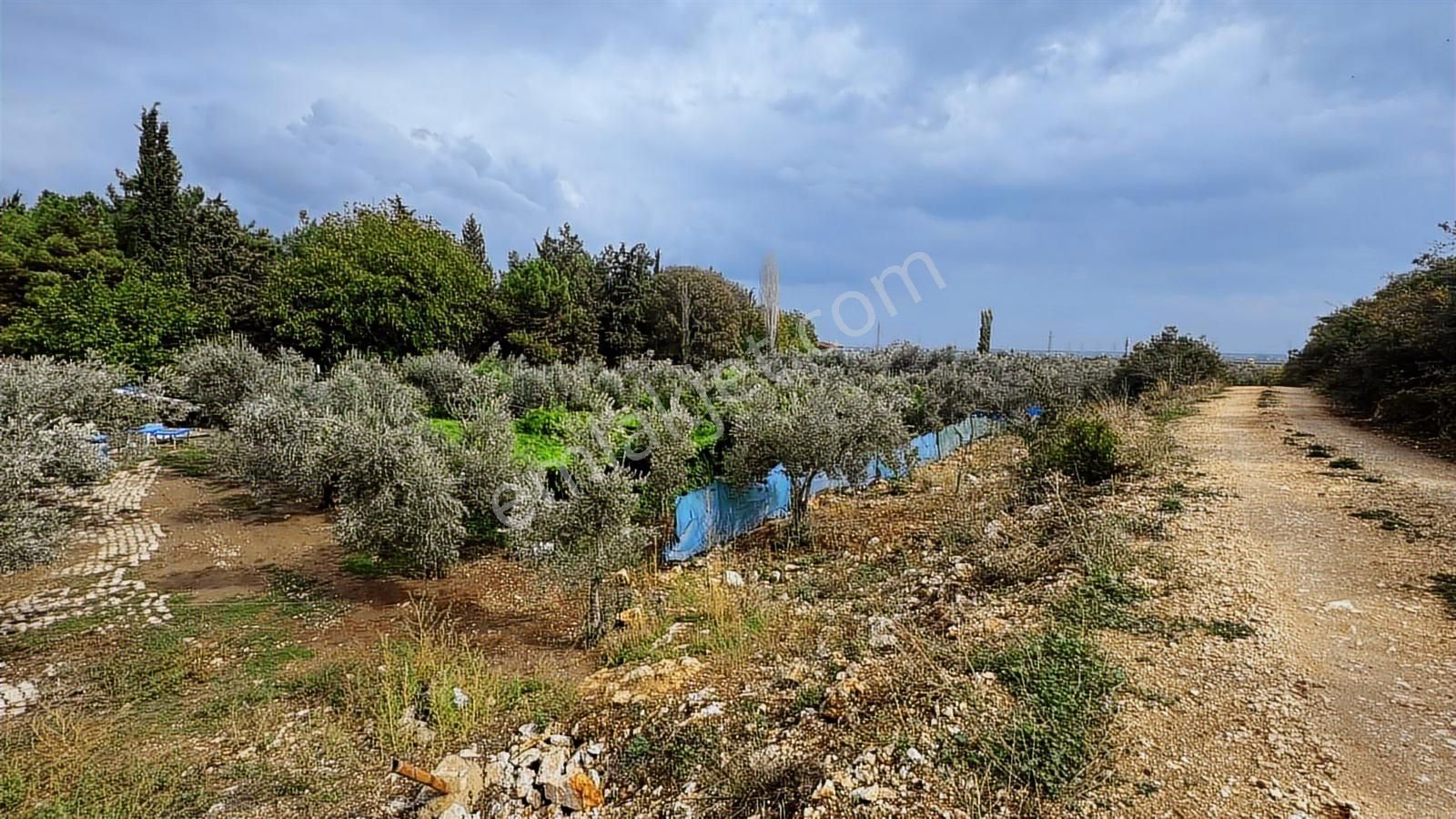 Nova Realty'den Çeltikçi Mahallesi Arpalık Mevkiinde Tarla - Görsel 35