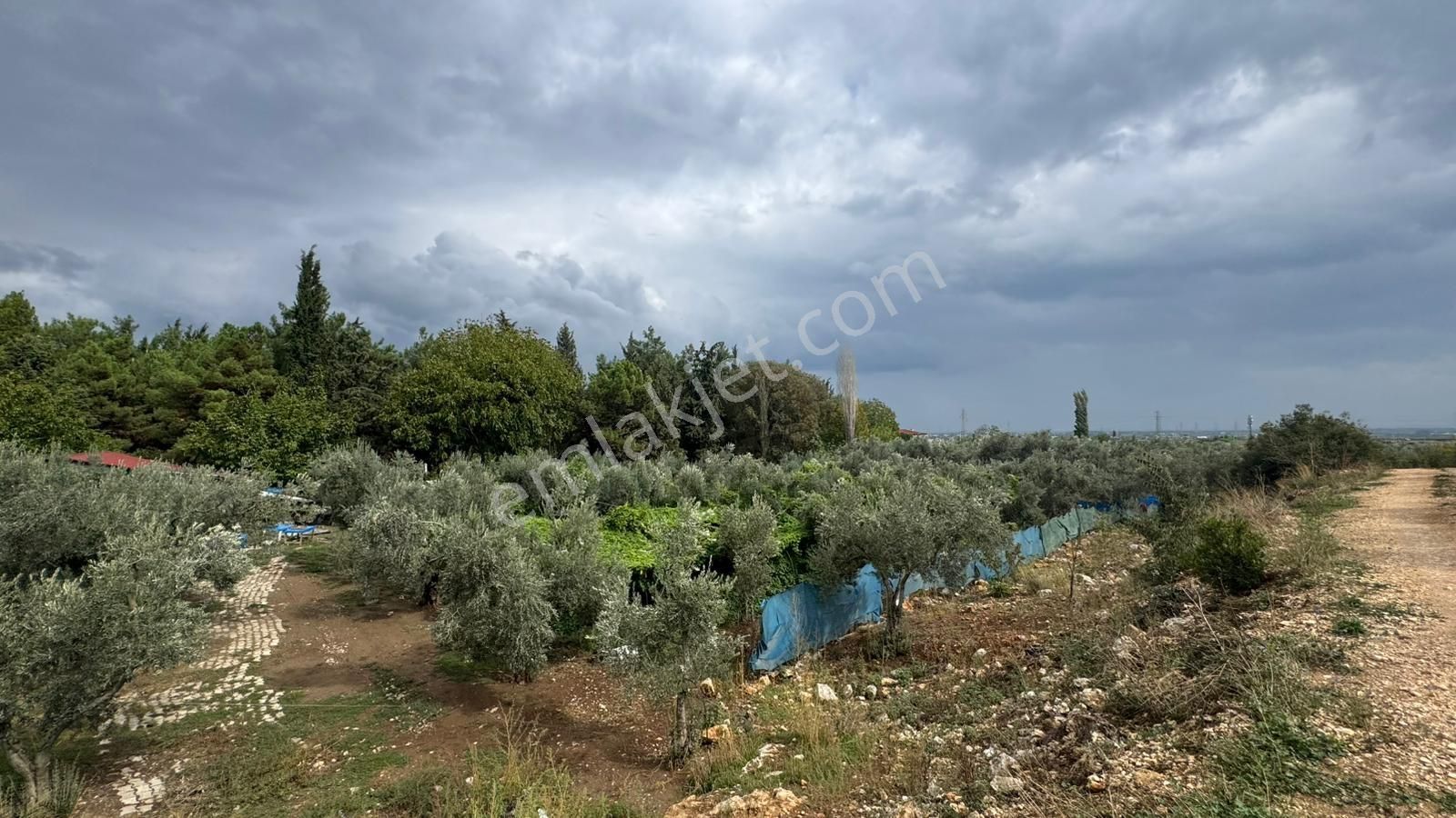 Nova Realty'den Çeltikçi Mahallesi Arpalık Mevkiinde Tarla - Görsel 17