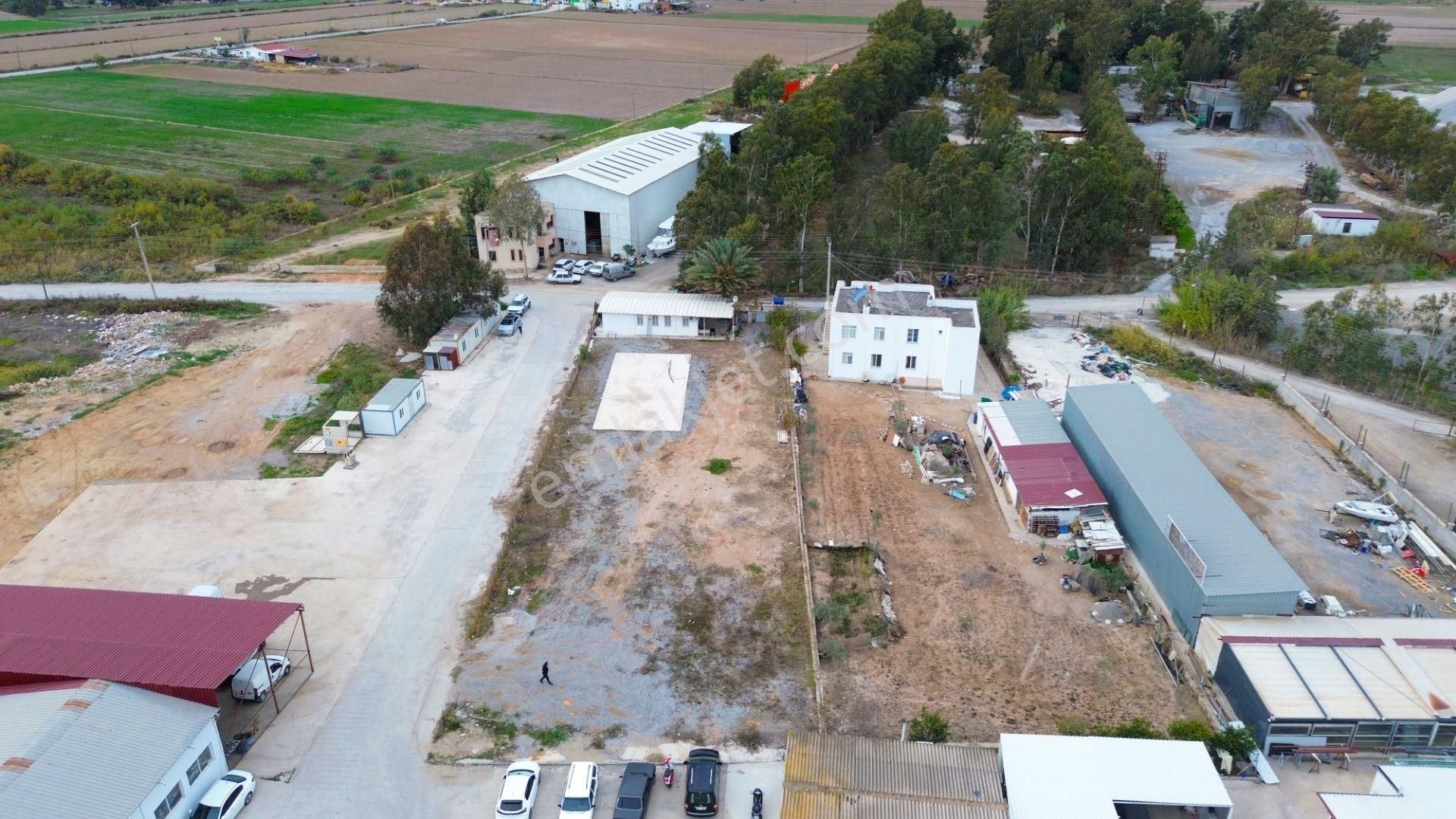 Milas Bodrum Yolu Üzeri 1562 M² Satılık Arsa - Görsel 11