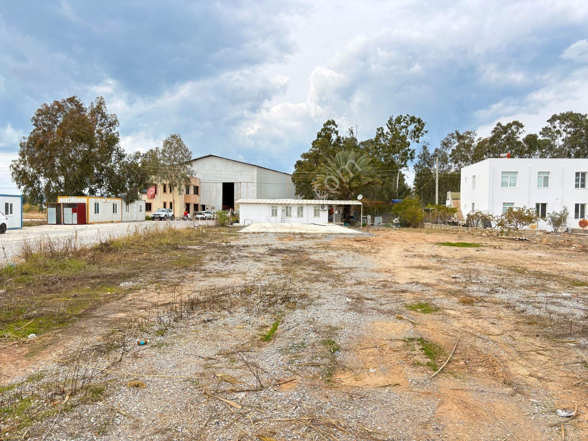 Milas Bodrum Yolu Üzeri 1562 M² Satılık Arsa - Görsel 16